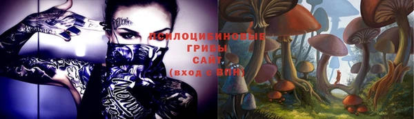 MDMA Premium VHQ Беломорск