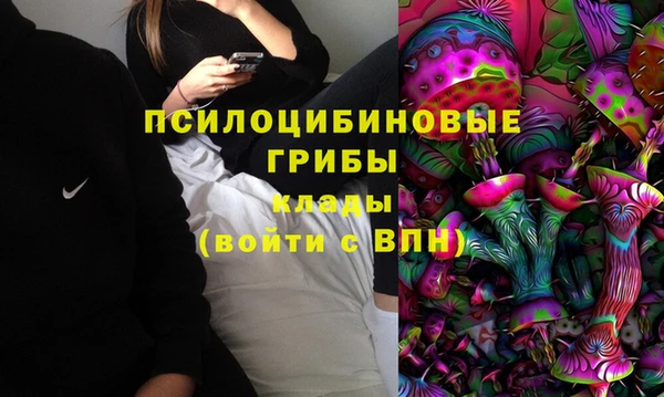 а пвп мука Белокуриха