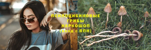 а пвп мука Белокуриха